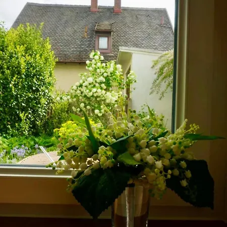 Cozy House With Courtyard Tatil Evi